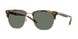 61613H - Tortoise - Dark Green Solid
