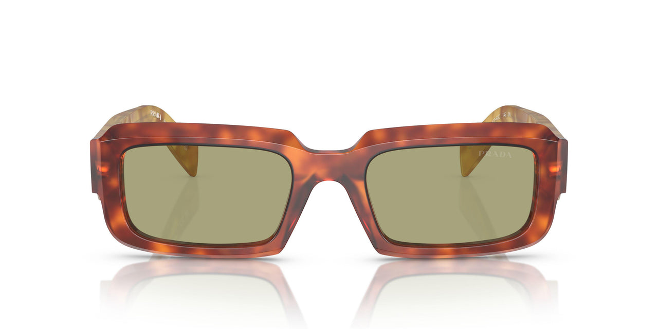 11P60C - Brown - Green
