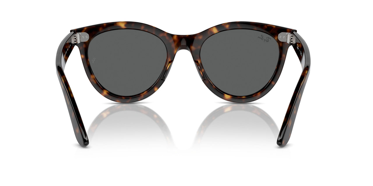 902/B1 - Tortoise - Dark Grey