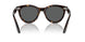902/B1 - Tortoise - Dark Grey