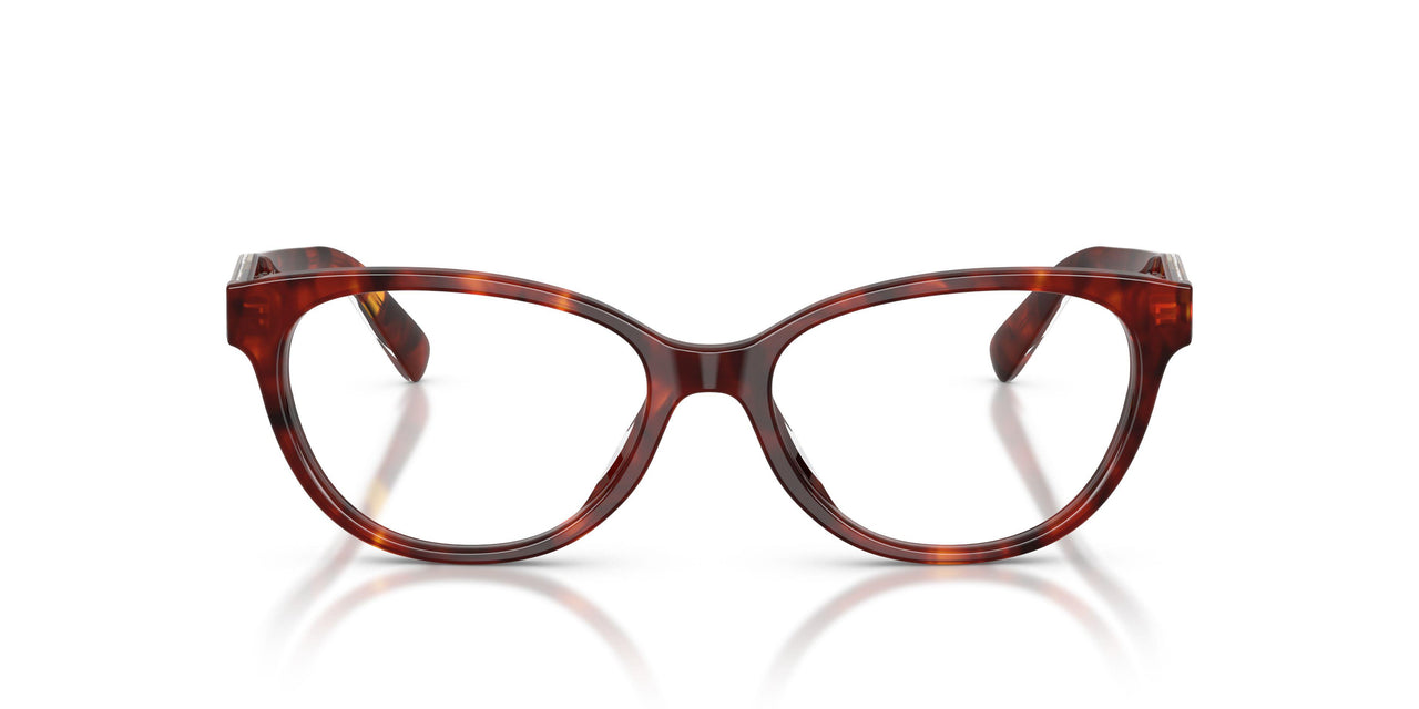 5938 - Tortoise