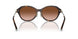 80153B - Tortoise - Brown Gradient