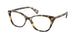 Ralph 7146 Eyeglasses