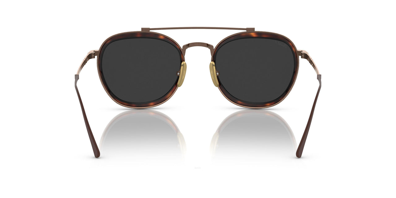 801648 - Brown - Polar Black + Ar