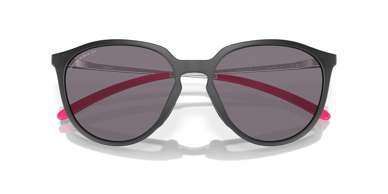 928801 - Black - Prizm Grey Polarized