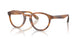 6163 - Tortoise