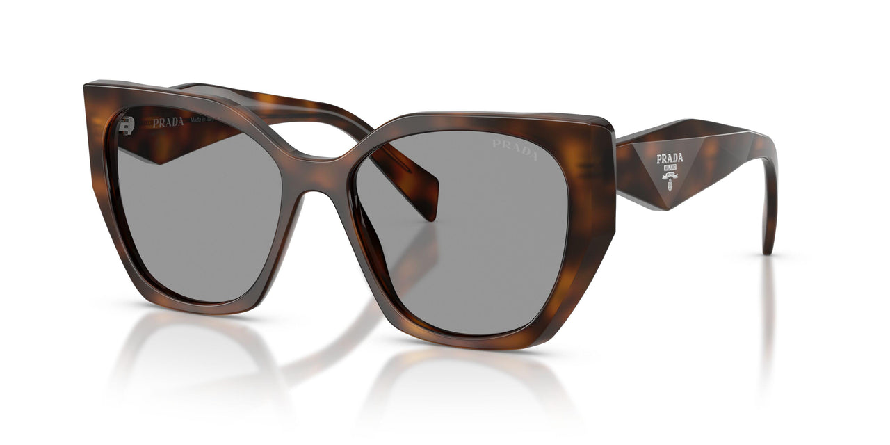 20D50Q - Havana - Grey