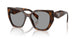 20D50Q - Havana - Grey