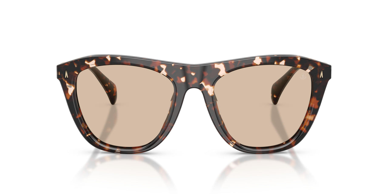 304893 - Tortoise - Solid Light Brown