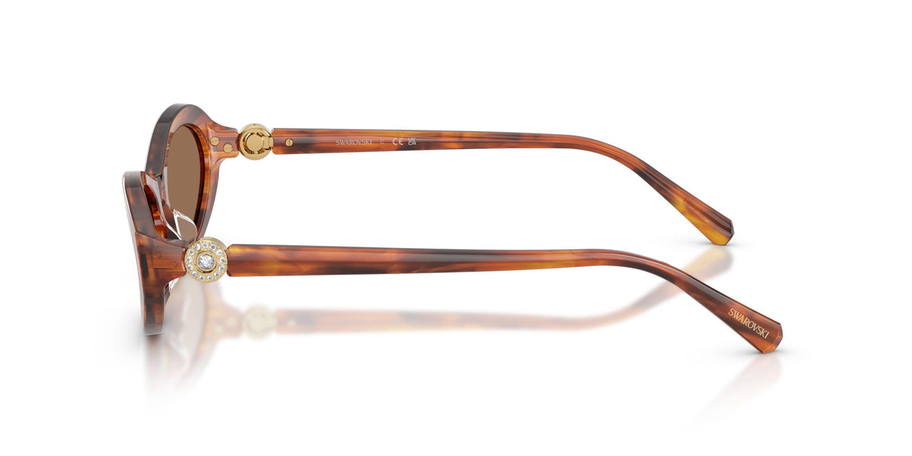 109173 - Brown - Dark Brown