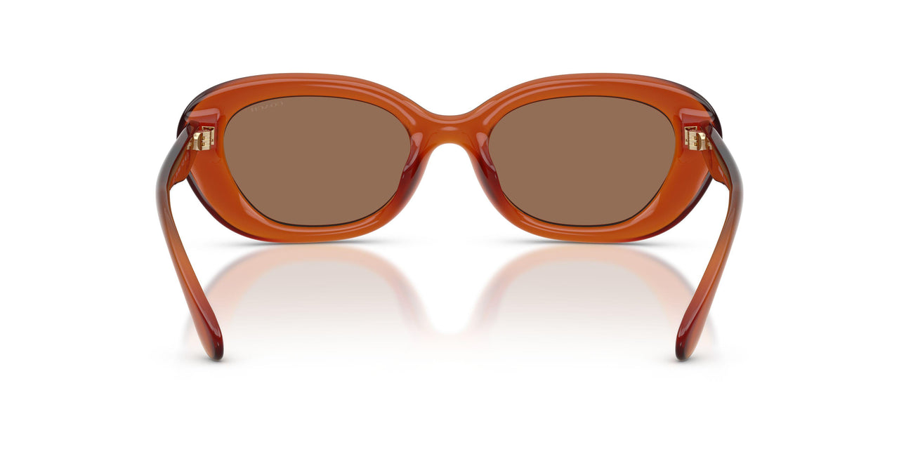 593073 - Orange - Wine Solid