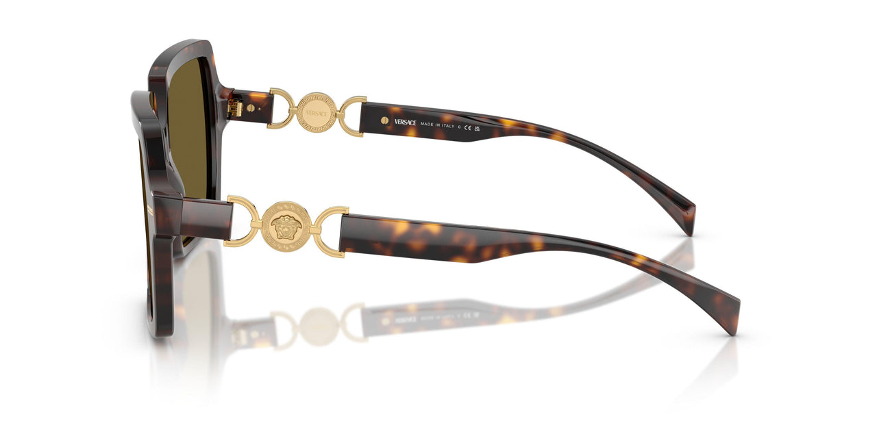 108/73 - Tortoise - Dark Brown