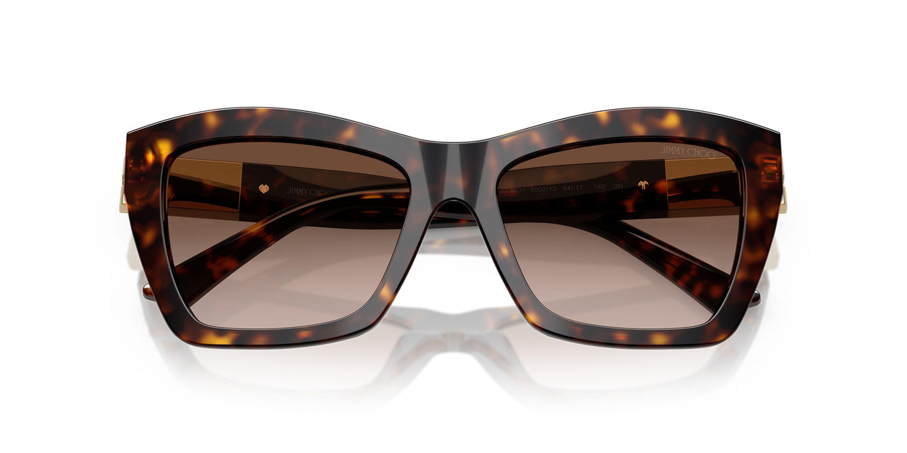500213 - Tortoise - Gradient Brown