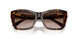 500213 - Tortoise - Gradient Brown