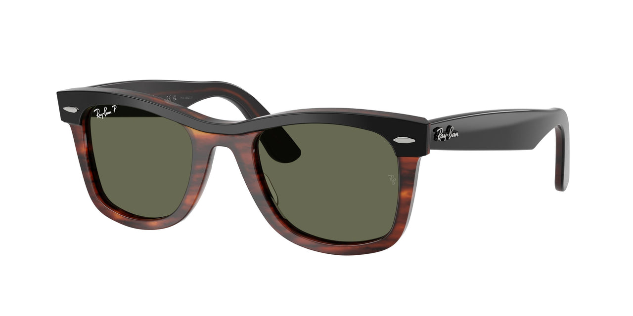 144058 - Black - Polarized Green