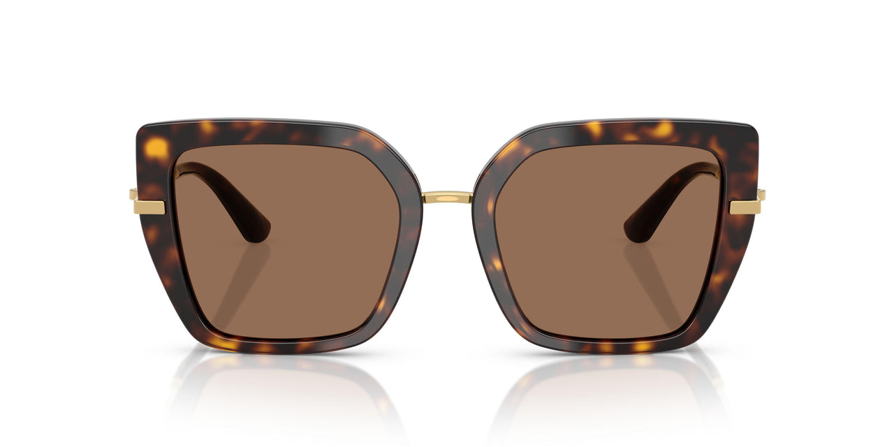 502/73 - Tortoise - Dark Brown