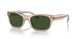 615571 - Brown - Green Solid
