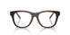 2069 - Brown
