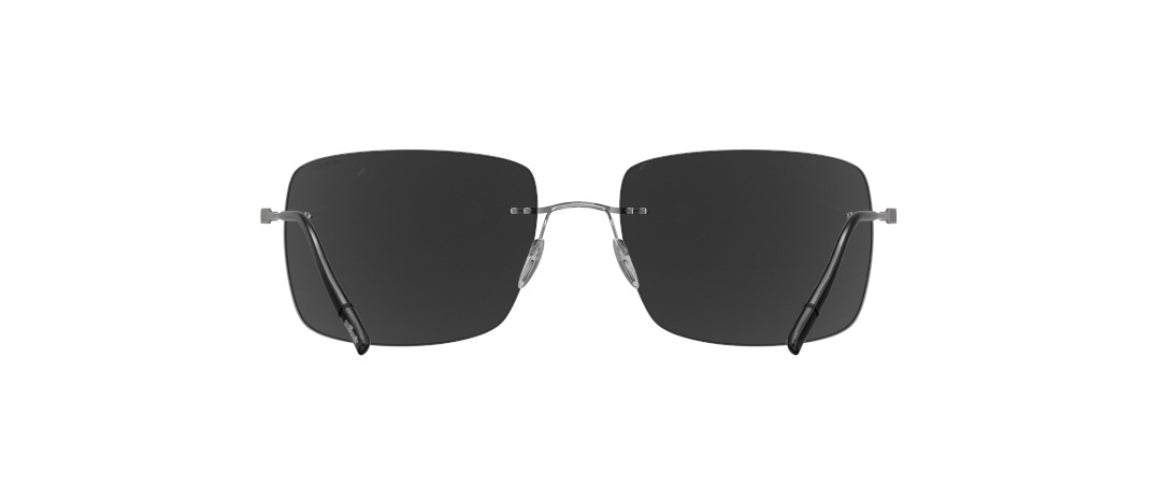 6560 - Ruthenium Black - SLM POL Grey