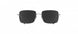 6560 - Ruthenium Black - SLM POL Grey
