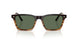 13929A - Brown - G-15 Polarized