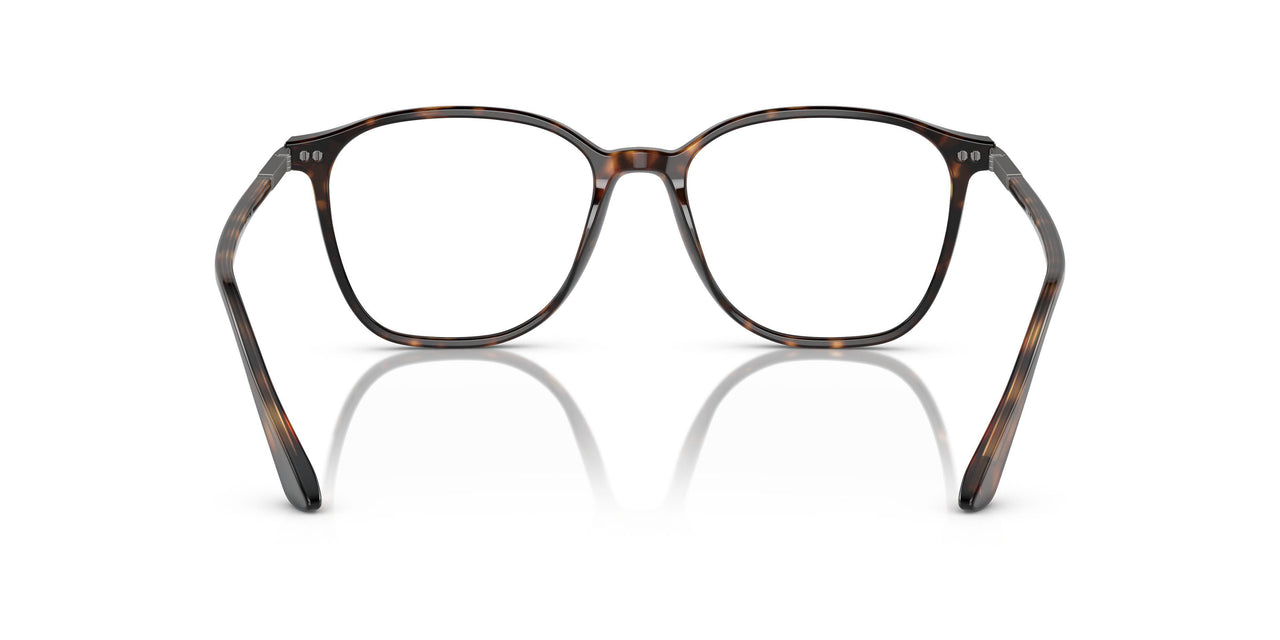 5026 - Tortoise