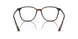 5026 - Tortoise