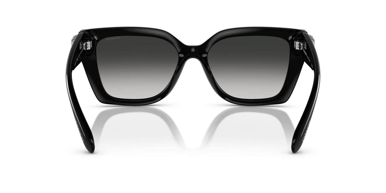 50023C - Black - Grey Gradient