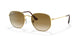 001/51 - Gold - Clear Gradient Brown