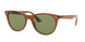 Ray-Ban Wayfarer Ii 2185 Sunglasses