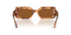 509673 - Brown - Dark Brown