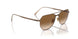 800351 - Brown - Clear Gradient Brown