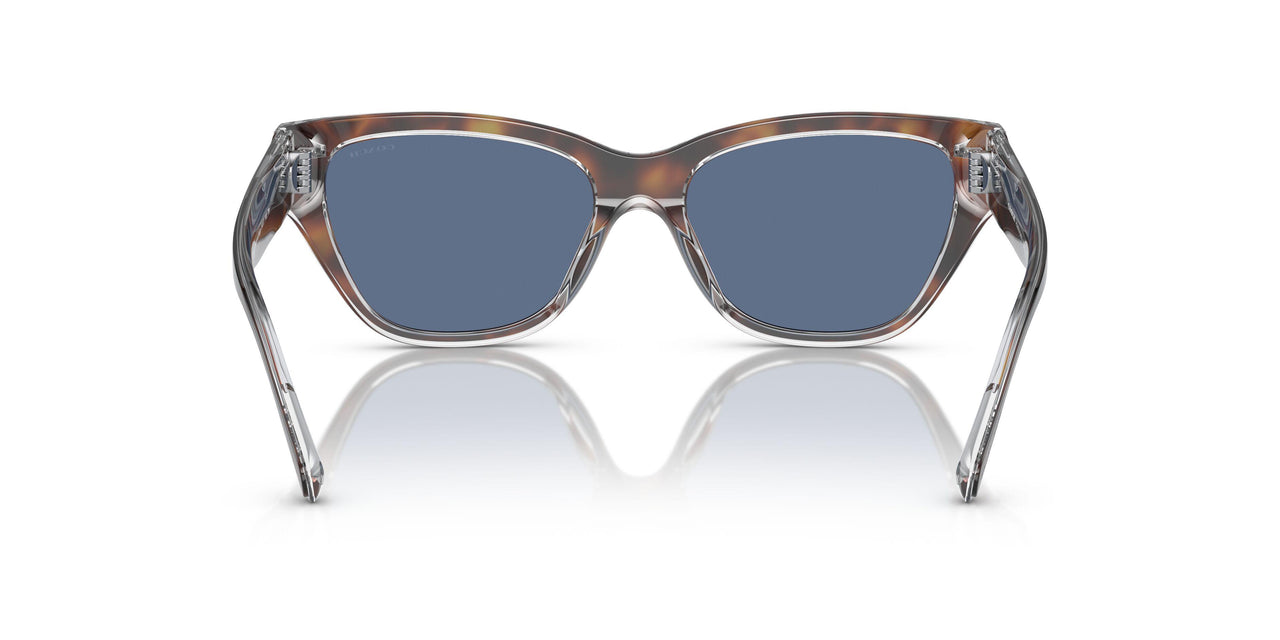 574280 - Tortoise - Blue Solid