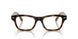 6928M4 - Tortoise - Clear/brown