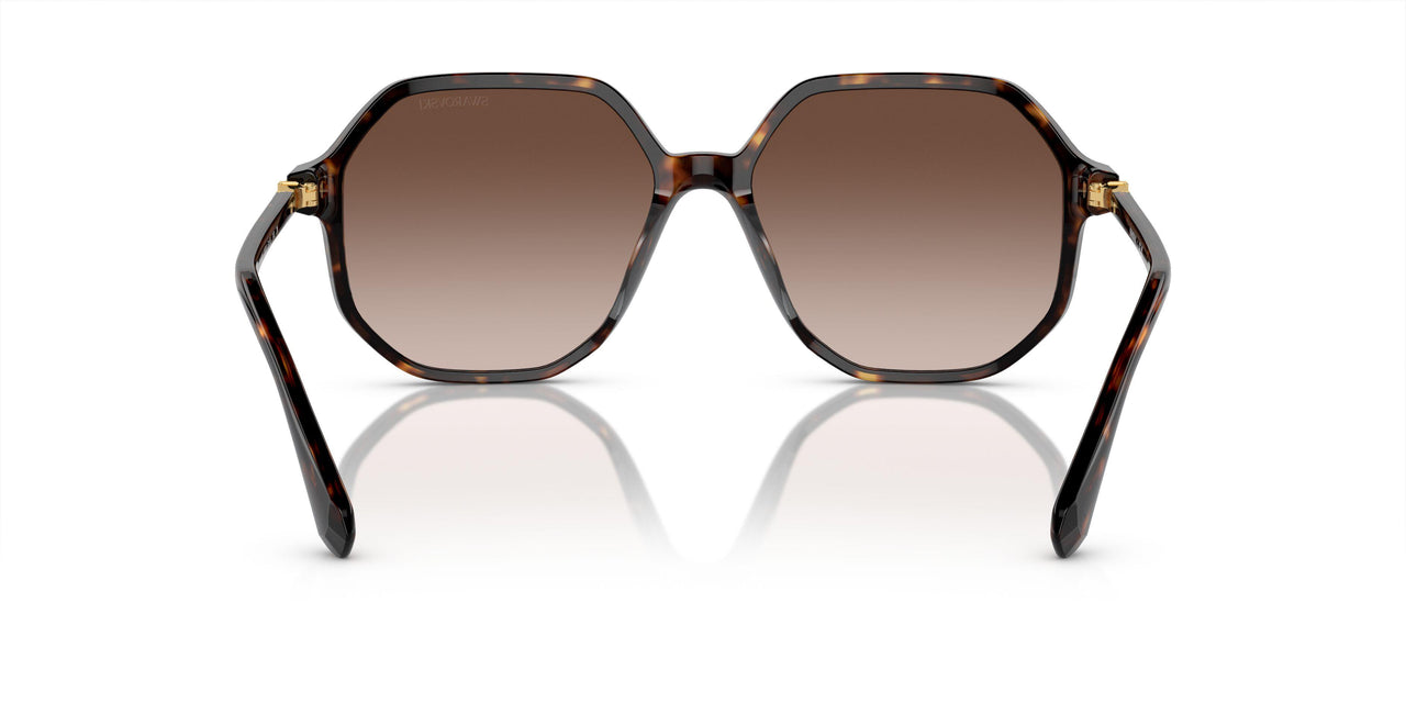 100213 - Tortoise - Brown Gradient