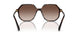 100213 - Tortoise - Brown Gradient