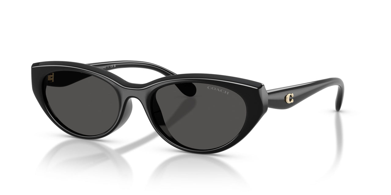 500287 - Black - Grey Solid