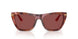 344475 - Tortoise - Dark Violet