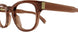 006 - Brown - Transparent