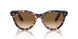 133451 - Pink - Clear & Brown
