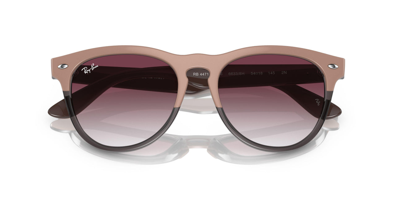 66338H - Light Brown - Clear Gradient Dark Violet