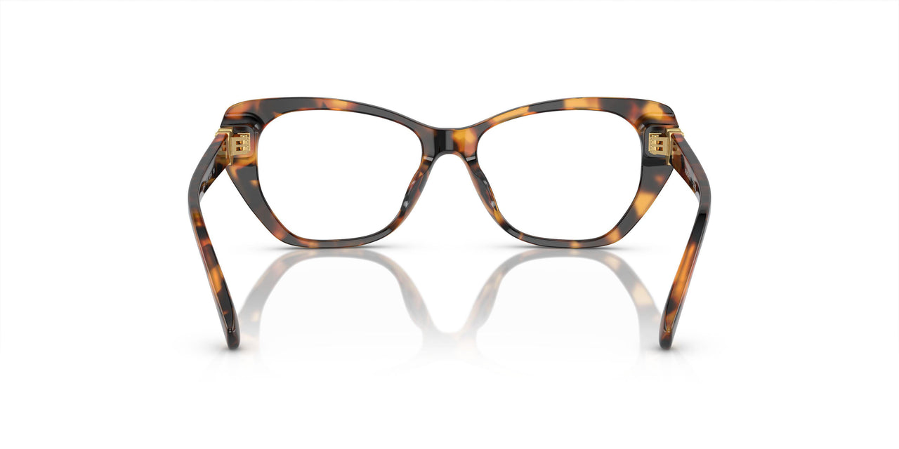 5119 - Tortoise
