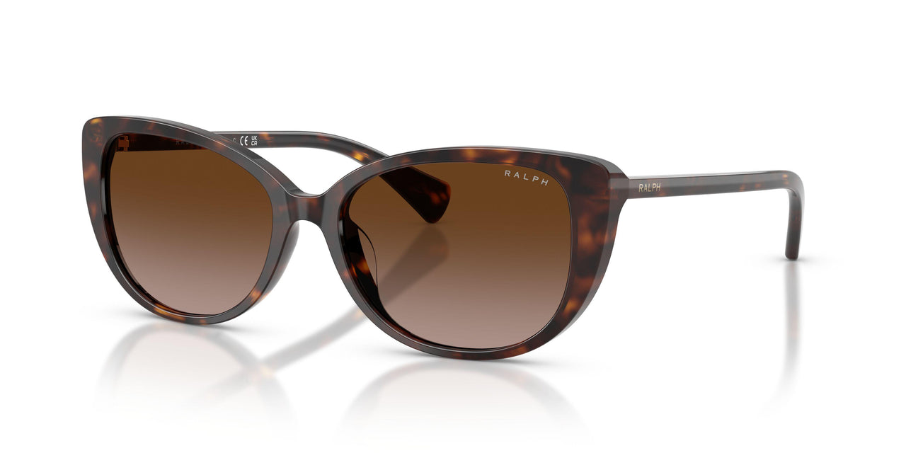 500313 - Tortoise - Gradient Brown