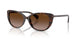 500313 - Tortoise - Gradient Brown