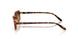 W65613 - Brown - Gradient Brown