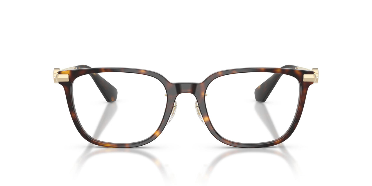 3002 - Brown
