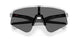 946539 - Transparent - Clear To Black Iridium Photochromic