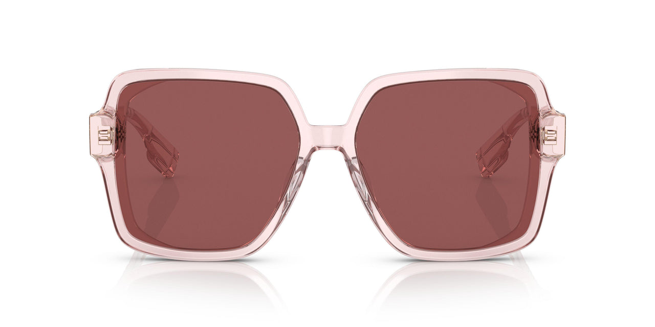 403069 - Pink - Dark Violet