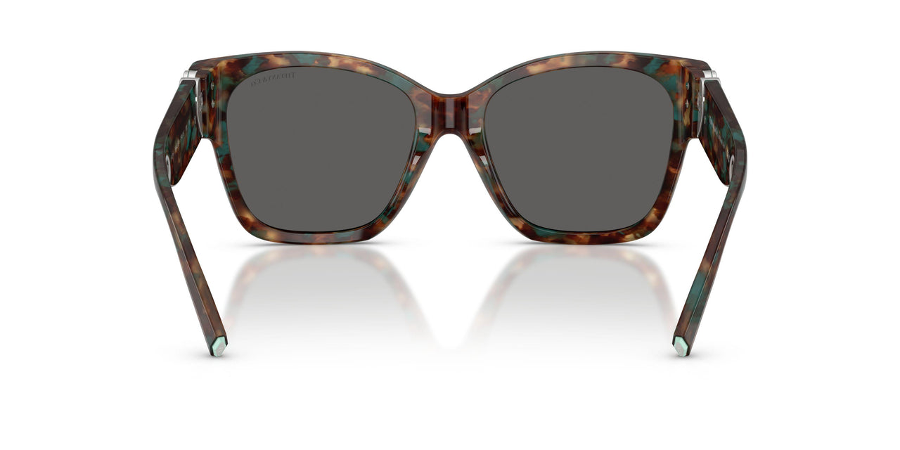 8442S4 - Tortoise - Dark Grey