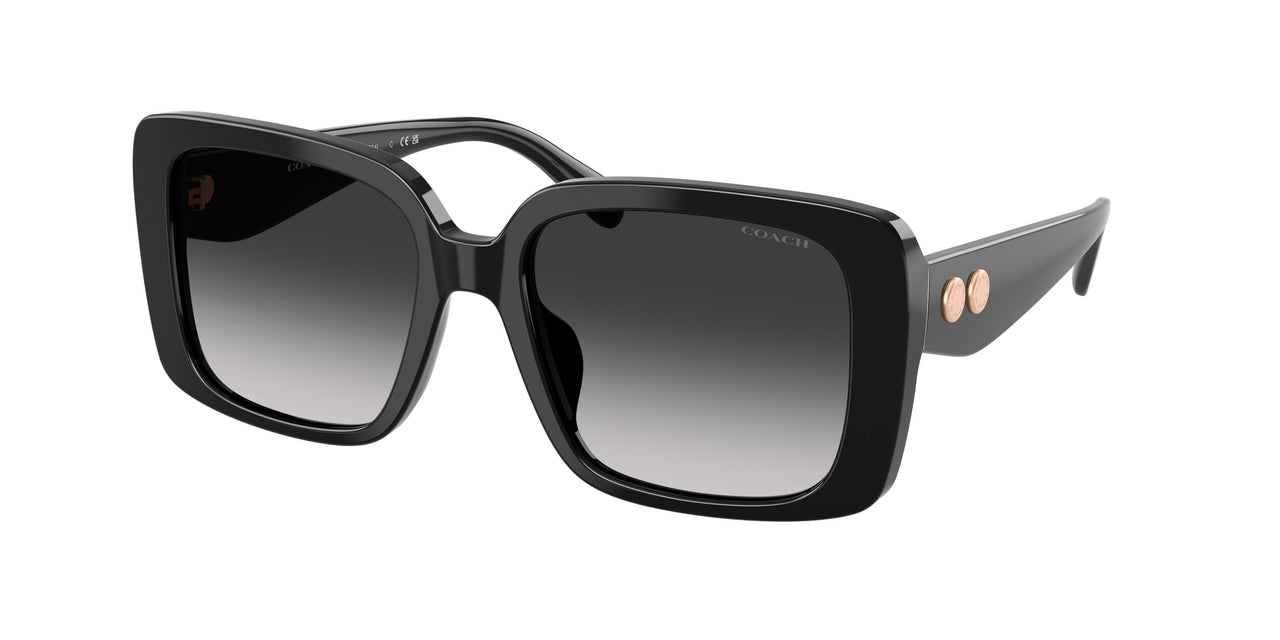 Coach Cad54 8424U Sunglasses